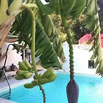 Casa Vignali * アウグスタ