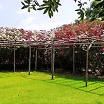 Casa Vignali